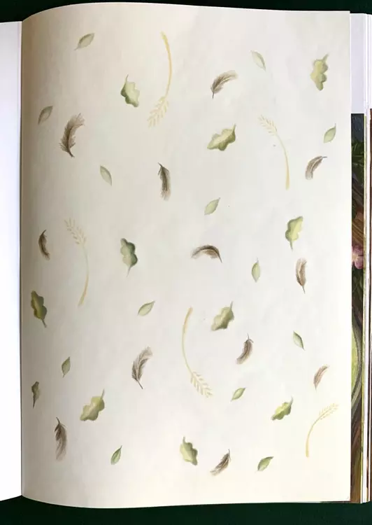 An illustration for the end papers of the picture book, showing drawings of leaves, feathers and corn.